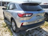 Used 2021 Ford Escape SE image 4