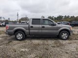 Used 2013 Ford F150 XLT image 3