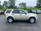 Used 2012 Ford Escape XLT image 2