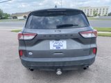 Used 2022 Ford Escape SEL w/ SEL Stealth AWD Package image 4