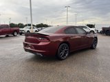 Used 2022 Dodge Charger SXT w/ Blacktop Package image 3