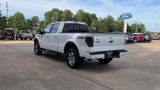 Used 2014 Ford F150 FX4 w/ Equipment Group 402A Luxury image 4