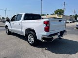 Used 2019 Chevrolet Silverado 1500 LT w/ All-Star Edition image 3