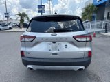 Used 2020 Ford Escape SE image 4