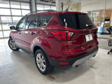 Used 2019 Ford Escape SEL image 4