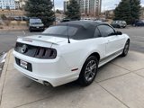 Used 2014 Ford Mustang Premium w/ Equipment Group 201A image 6
