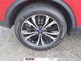 Used 2022 Ford Escape SE w/ SE Sport Appearance Package image 5