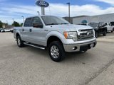 Used 2013 Ford F150 XLT w/ XLT Chrome Pkg image 2