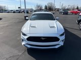 Used 2023 Ford Mustang Coupe w/ Equipment Group 101A image 2