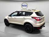 Used 2017 Ford Escape Titanium image 5