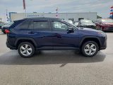 Used 2021 Toyota RAV4 XLE Premium image 4