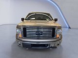 Used 2011 Ford F150 XLT w/ XLT Chrome Pkg image 2