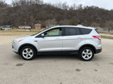 Used 2013 Ford Escape SE image 2
