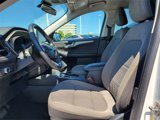 Used 2021 Ford Escape SE w/ Convenience Package image 5