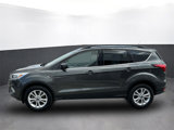Used 2019 Ford Escape SEL image 2