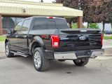 Used 2016 Ford F150 XLT w/ Equipment Group 302A Luxury image 3