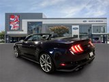 Used 2021 Ford Mustang GT Premium w/ Equipment Group 401A image 5
