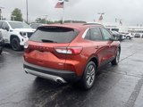 Used 2020 Ford Escape SEL image 5