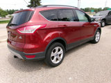 Used 2014 Ford Escape SE w/ Equipment Group 201A image 3