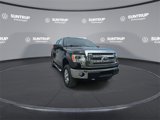 Used 2014 Ford F150 XLT w/ Equipment Group 302A Luxury image 4