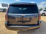 Used 2016 Cadillac Escalade Luxury image 4