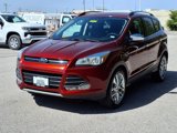Used 2014 Ford Escape SE w/ SE Chrome Package image 2