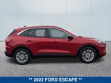 Certified 2022 Ford Escape SE image 6