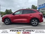 Used 2024 Ford Escape ST-Line image 2