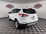 Used 2014 Ford Escape SE image 5