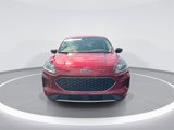 Used 2022 Ford Escape SE w/ Cold Weather Package image 3
