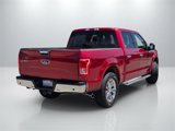 Used 2015 Ford F150 XLT w/ Equipment Group 302A Luxury image 5