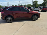Used 2021 Ford Escape SE image 6