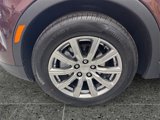 Used 2023 Cadillac XT4 Premium Luxury w/ Driver Assist Package image 5
