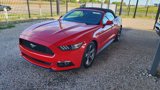 Used 2017 Ford Mustang Convertible w/ Equipment Group 051A image 6