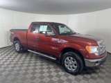 Used 2014 Ford F150 XLT w/ Equipment Group 302A Luxury image 2