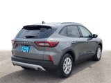 New 2025 Ford Escape Active w/ Tech Pack #1 image 4