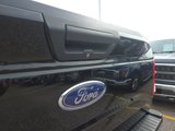 Used 2016 Ford F150 XLT w/ Equipment Group 301A Mid image 6