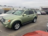 Used 2008 Ford Escape 4WD Hybrid image 5