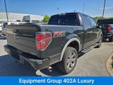 Used 2014 Ford F150 FX4 w/ Equipment Group 402A Luxury image 4