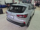 Certified 2024 Ford Escape Platinum image 6