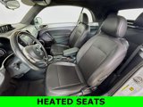 Used 2014 Volkswagen Beetle TDI image 2