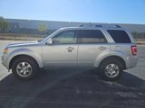 Used 2011 Ford Escape Limited w/ 301A Rapid Spec Order Code image 3