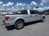 Used 2013 Ford F150 XLT w/ Luxury Equipment Group image 4