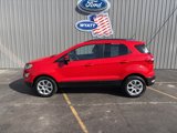 Used 2021 Ford EcoSport SE w/ SE Convenience Package image 2