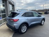 Used 2022 Ford Escape SE image 3