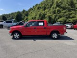 Used 2014 Ford F150 XLT image 2