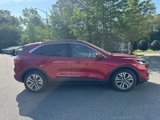 Used 2020 Ford Escape SEL image 5