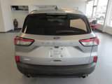 Used 2021 Ford Escape SE w/ SE Sport Appearance Package image 5