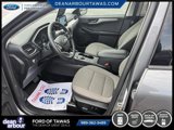 Certified 2022 Ford Escape SE w/ Convenience Package image 2