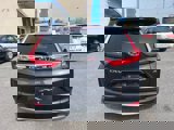 Used 2019 Honda CR-V EX-L image 4